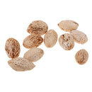 12 Pieces Natural Wood Mango Mini Dried Flowers Table Ornaments Home Room Party Christmas Decorations DIY Scented Sachets - 20-25mm