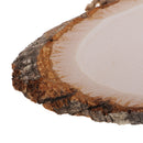 Large Oval Natural Wood Log Slice Tree Bark Slices Decorative Wedding Sign Plaque RUSTIC Handing Decorations DIY Pyrography Art