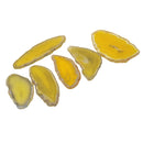 6Pc 2-3" Lemon Yellow Agate Slices Quartz Crystal Pendant Jewelry DIY Making