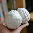 10 Pieces Smooth Foam Polystyrene Craft Balls Hazelnut Fruits for DIY Modeling Arts & Craft, Floral Arrangement, Wedding Party Decoration, Centerpiece