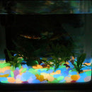 8Pack Glow In The Dark Glass Starfish Vase Fillers Fish Tank Aquarium Decors