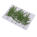 12 Pieces Natural Pressed Real Dried Flower Wormwood Leaf for Soap Candle Making Decoration Resin Casting DIY Home Ornament 8cm