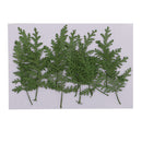 12 Pieces Natural Pressed Real Dried Flower Wormwood Leaf for Soap Candle Making Decoration Resin Casting DIY Home Ornament 8cm