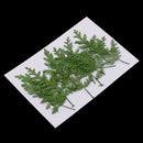 12 Pieces Natural Pressed Real Dried Flower Wormwood Leaf for Soap Candle Making Decoration Resin Casting DIY Home Ornament 8cm