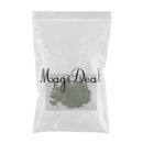 12 Pieces Beautiful Pressed Leaves Press Dried Flower Real Dried Plant Specimen Filler for Scrapbooking Card, Art Crafts, Epoxy Resin Jewelry Crafts