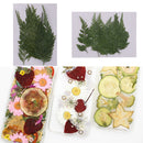 12 Pieces Beautiful Pressed Leaves Press Dried Flower Real Dried Plant Specimen Filler for Scrapbooking Card, Art Crafts, Epoxy Resin Jewelry Crafts