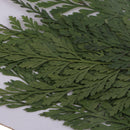 12 Pieces 7-8cm Length Real Pressed Leaves Dried Flowers Embellishments for Card making Scrapbooking Art Crafts DIY Handmade Floral Decorations