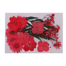 5 Kinds Beautiful Natural Pressed Dried Flowers Pressed Leaves For Scrapbooking Arts Crafts Epoxy Resin Jewelry Making Gifts DIY Floral Decorations