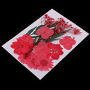 5 Kinds Beautiful Natural Pressed Dried Flowers Pressed Leaves For Scrapbooking Arts Crafts Epoxy Resin Jewelry Making Gifts DIY Floral Decorations