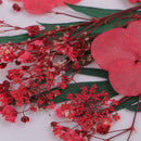 5 Kinds Beautiful Natural Pressed Dried Flowers Pressed Leaves For Scrapbooking Arts Crafts Epoxy Resin Jewelry Making Gifts DIY Floral Decorations