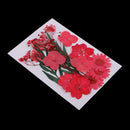 5 Kinds Beautiful Natural Pressed Dried Flowers Pressed Leaves For Scrapbooking Arts Crafts Epoxy Resin Jewelry Making Gifts DIY Floral Decorations