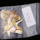 13 Pieces Assorted Metal Filigree Leaf Butterfly Flower Beads Caps Charms Pendants Wedding Bridal Hair Jewelry Making Findings Gold