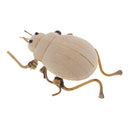 DIY Cute Insect Natural Wooden Ornaments Educational Toys For Children Kids