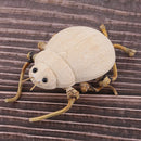 DIY Cute Insect Natural Wooden Ornaments Educational Toys For Children Kids