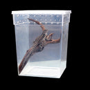 Transparent Plastic Display Box Insect Reptile Breeding Feeding Tub Turtle Tank 20*20*25