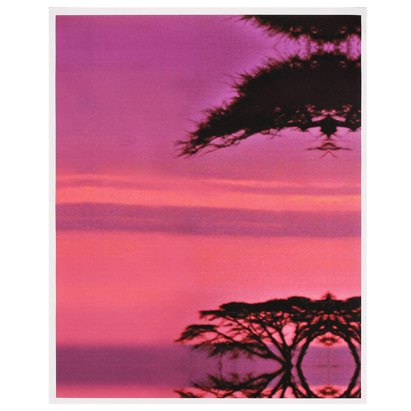 Large Sunset&Tree Canvas Print Wall Art Painting Picture NO Frame Home Decorations