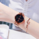 Fashion Star Magnetic Milanese Steel Band Women Quartz Watch