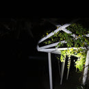 NICRON K15 EDC AAA Flashlight Mini Keychain Light IP65 Waterproof Portable Work Lamp MINI LED Torch