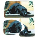 3PCS Durable Safety Patent Print Non-slip Bath Mat Toilet Rug Bathroom Carpet