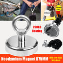 250kg Pull Fishing Treasure Hunting Neodymium Recovery Magnet + 10 Metre Rope