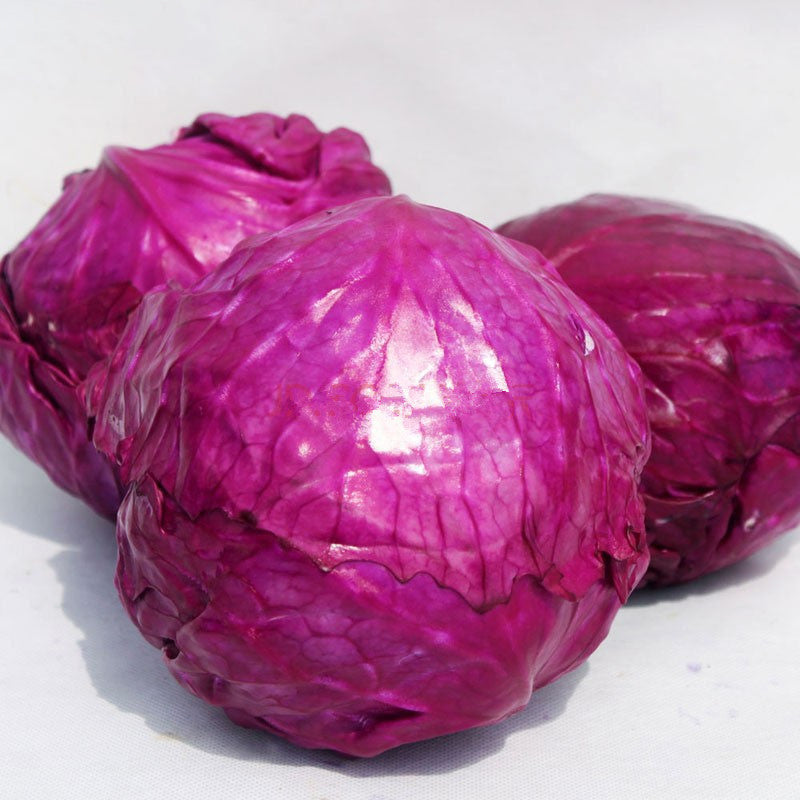 Egrow 100Pcs/Pack Purple Cabbage Seeds Organic Seasons Healthy Vegetable Plants