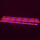 DC12V 5PCS 50CM Waterproof SMD5050 Red:Blue 5:1 36LED Strip Plant Garden Grow Light+5A Power Adapter