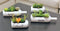Multi - Meat Simulation Plant Simulation Potted Plastic Simulation Plant Floral