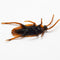 10pcs Prank Funny Trick Joke Toys Lifelike Model Simulation Fake Cockroach Toys Kids Children Props