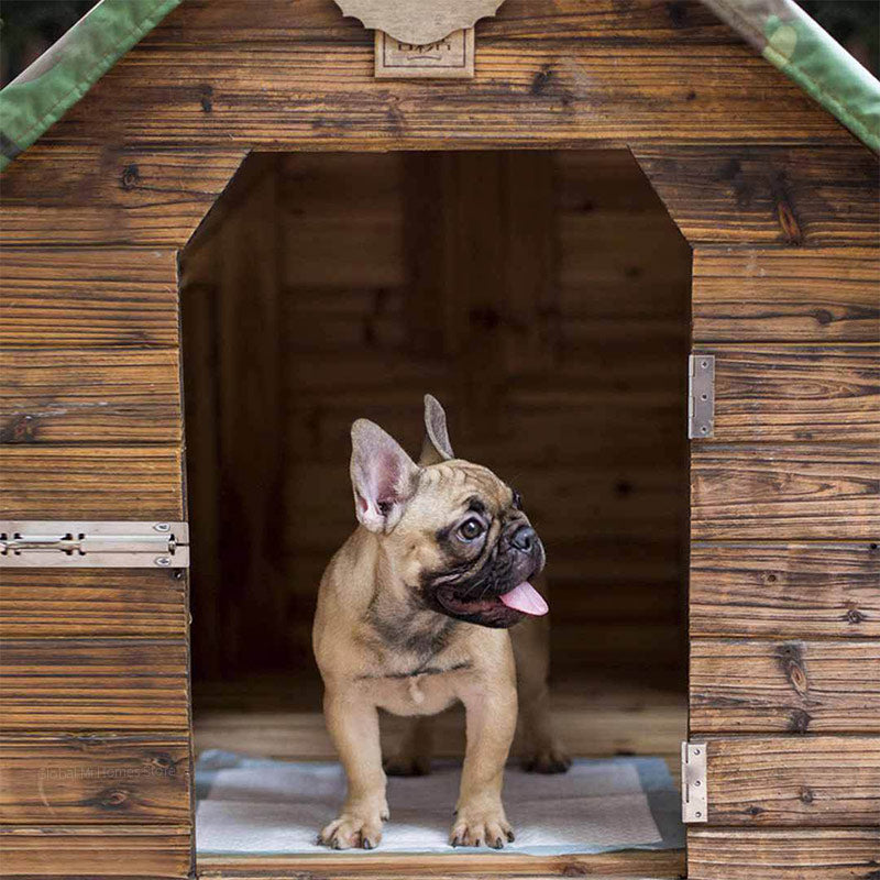 Miajia Pet Diaper Dog Diaper Disposable Thickening Water Absorbing Dog Urinary Paper Pads From Xiaomi Youpin