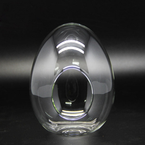 Egg Shaped DIY Moss Micro Landscape Glass Bottle Succulent Plants Vase Home Decoration