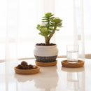 Xianger 3Pcs Natural Cork Coasters Multifunctional Coffee Pads Table Cup Mat Restaurant Cafe Supplies Eco Friendly from Xiaomi Youpin