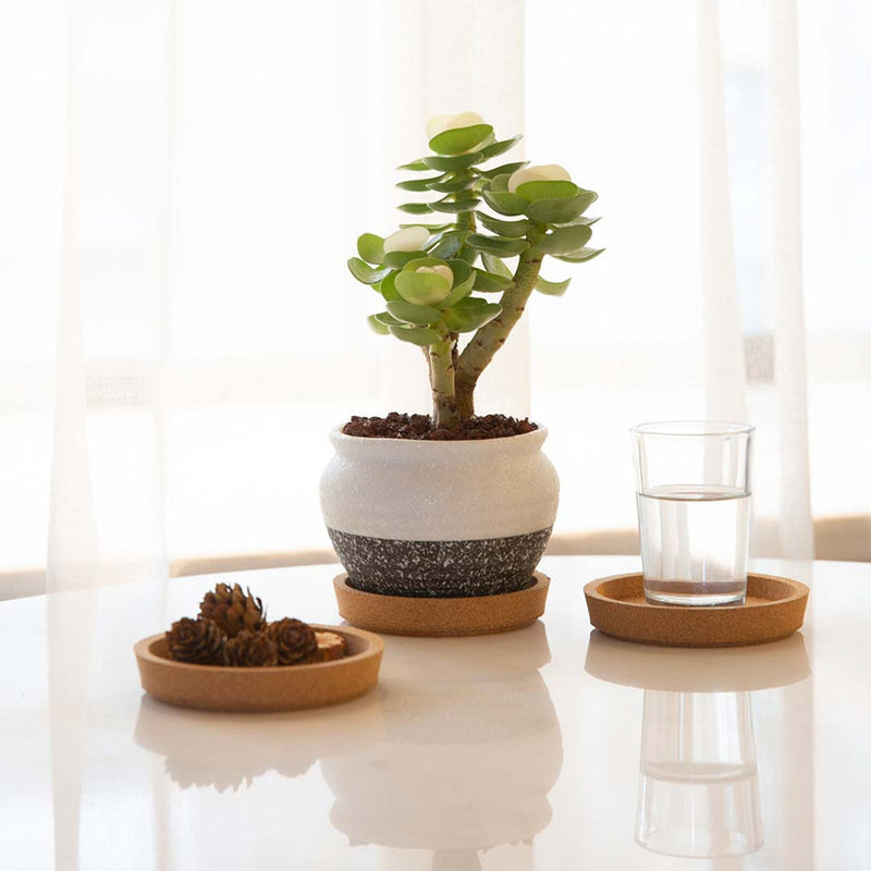 Xianger 3Pcs Natural Cork Coasters Multifunctional Coffee Pads Table Cup Mat Restaurant Cafe Supplies Eco Friendly from Xiaomi Youpin