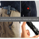 LED UV Flashlight Ultraviolet Torch with Zoom Function Mini UV Black Light Pet Urine Stains Detector Scorpion Hunting