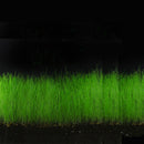 Yani Aquatic Plant Seeds Indoor Ornamental Grass Seed Grass Landscaping Decorations