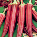 Egrow 20PCS/Pack Okra Seeds Organic Non GMO Okra Vegetable Flores For Home Garden Potted Plants