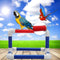 Large PVC Parrot Perch Play Gym Stand Birds Training Playing Platform Tray Tablet Stand