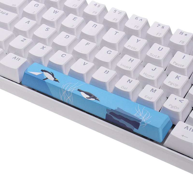 Five-sided Dyesub PBT OEM Profile Penguin Space Bar 6.25u Novelty Keycap for GK61 Black Case and Cherry MX Switch Keyboard