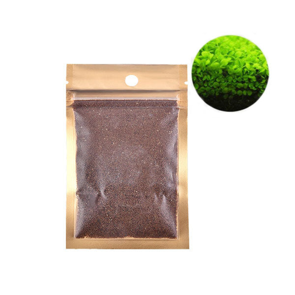 Egrow  Aquatic Double Leaf Plant Seeds Aquarium Plant Seeds Aquarium Fish Tank Decor