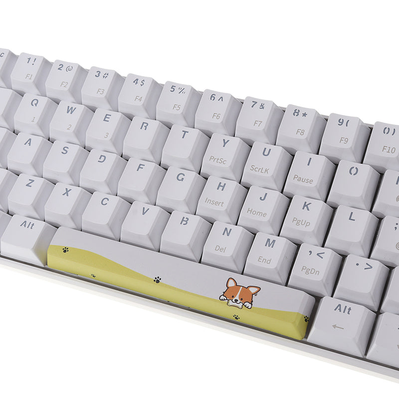 Five-sided Dyesub PBT OEM Profile Yellow Dog Shark Space Bar 6.25u Novelty Keycap for GK61 Black Case and Cherry MX Switch Keyboard