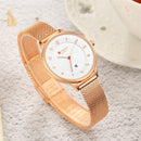 CURREN 9035B Simple Dial Design Date Display Ladies Watch Mesh Steel Band Quartz Watches