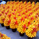 Egrow 10Pcs/Bag Gold Berry Bonsai Seeds Abiu Flores Caimito Garden Potted Plantas Vegetable Plant The Budding Rate 90%