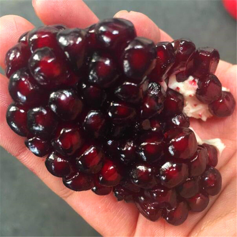 Egrow 30Pcs/Pack Black Pomegranate Seeds Home Garden Delicious Fruit Tree Bonsai Seeds
