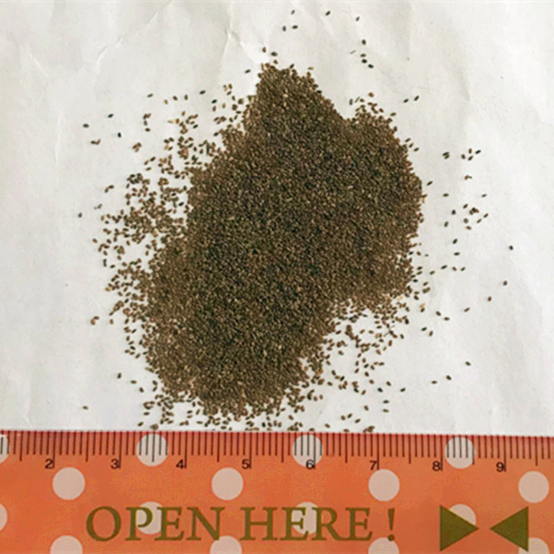 Egrow 100Pcs/Pack Monkey Face Orchid Seeds Old People Face Flower Seeds Planting