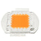 20W 30W 50W 30mil Full Spectrum LED Grow Chip DIY for Indoor Plant DC12-14V