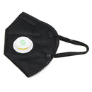PM2.5 Dust Face Mask Mist Respirator Particulate Mask Breathing Mask Pollution Mask Filter Allergy Mask