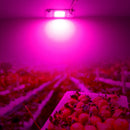 LUSTREON 20W 30W 50W Full Spectrum COB LED Grow Light Chip DIY For Indoor Plant Hydroponice AC220V