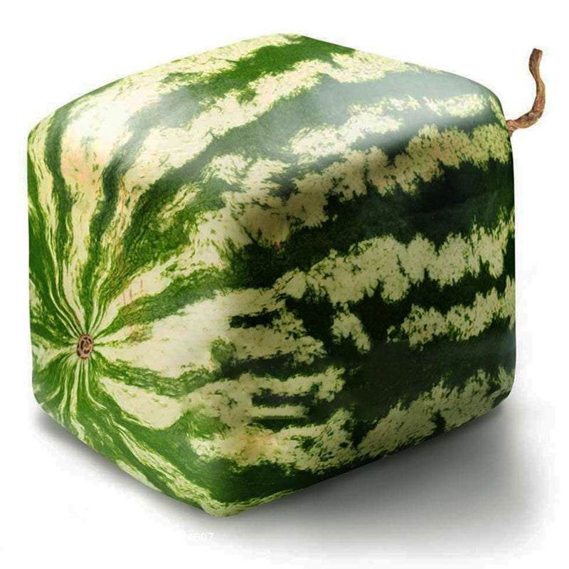 Egrow 30Pcs/Pack Square Watermelons Seeds Home Garden Simple Geometric Sweet Fruit Plants