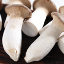 Egrow 50Pcs/Pack Mushroom Seeds Garden Planting Edible Pleurotus Eryngii Seeds Vegetable Seeds