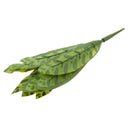 Artificial Calathea Insignis Petersen Leaf Plants Silk Foliage Grass Green