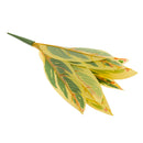 Artificial 10-Fork Gladiolus Leaf Plants Silk Foliage Grass Decor Yellow